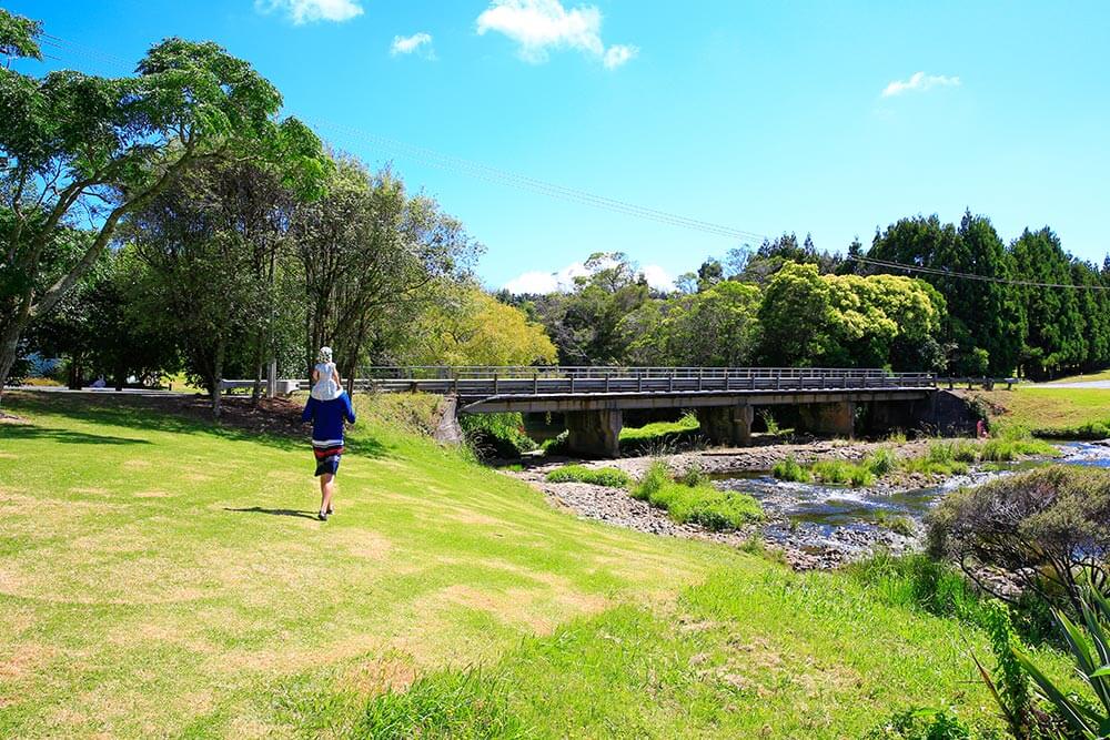 Walking Tracks New Zealand