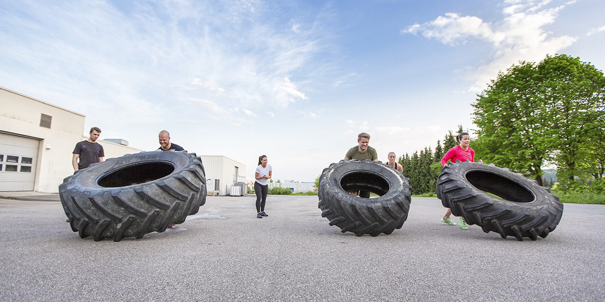 Calisthenics Training For Beginners