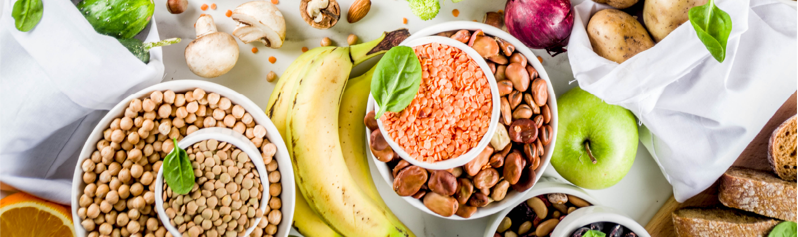 The Cursed Carbs – Are they really that bad for us?