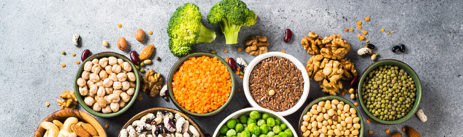 The Pro’s Of Protein